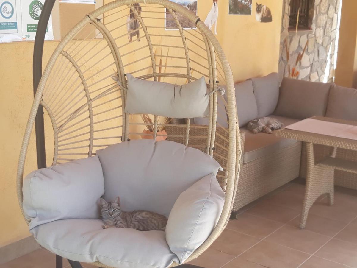 Finca Los Villegas Castril Ngoại thất bức ảnh